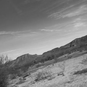 Meet your Posher, Gracee